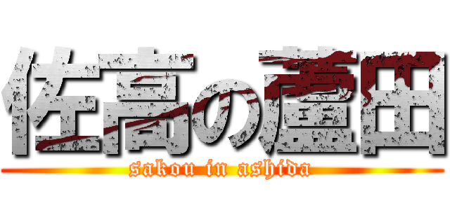 佐高の蘆田 (sakou in ashida)