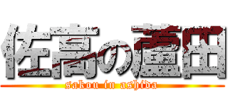 佐高の蘆田 (sakou in ashida)