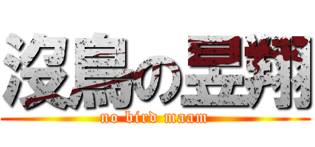 沒鳥の昱翔 (no bird maam)