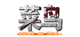 菜鸟 (attack on titan)