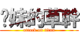 妳妹的草幹 (attack on titan)
