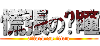 慌張の憨瞳 (attack on titan)