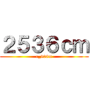 ２５３６ｃｍ (c_908m)