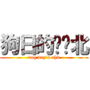 狗日的聂华北 (dog day’s nhb)