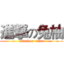 進撃の兔柚 (attack on titan)