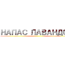 НАПАС ЛАВАНДОС ()