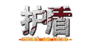 护盾 (attack on titan)