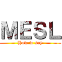 ＭＥＳＬ (How to say)