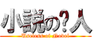 小説の废人 (Useless of Novel)