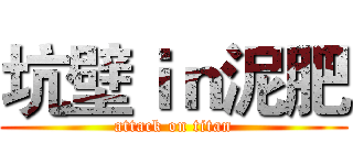 坑壁ｉｎ泥肥 (attack on titan)