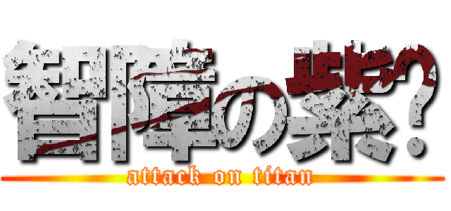 智障の紫玥 (attack on titan)