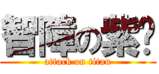 智障の紫玥 (attack on titan)