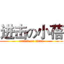 进击の小蓓 (attack on titan)