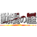 動漫の屋 (アニメハウス)