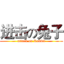 进击の兔子 (attack on Rabbit)
