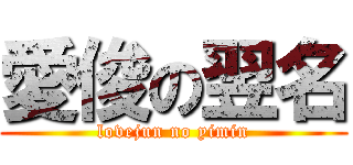 愛俊の翌名 (lovejun no yimin)