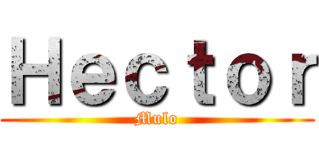 Ｈｅｃｔｏｒ (Mulo)