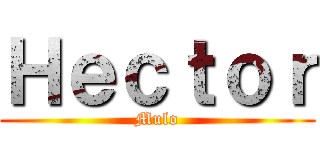 Ｈｅｃｔｏｒ (Mulo)