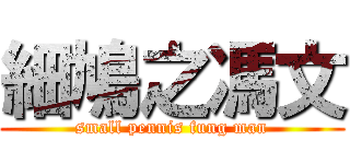細鳩之馮文 (small pennis fung man)