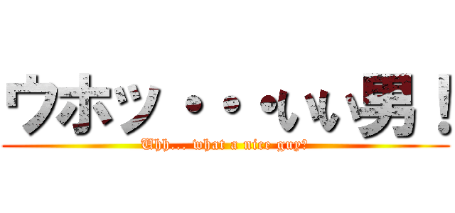 ウホッ・・・いい男！ (Uhh... what a nice guy！)