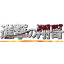 進撃の翔哥 (trust me)