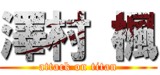 澤村 楓 (attack on titan)