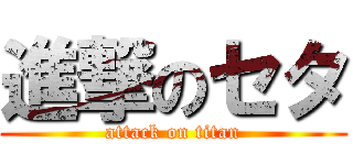 進撃のセタ (attack on titan)