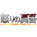 怒りの真吾 (Ikari no singo)