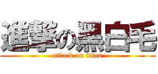 進撃の黑白毛 (attack on titan)