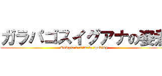 ガラパゴスイグアナの姿煮 (Kewpie 3-minute cooking )