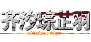 齐汐琮芷羽 (attack on titan)