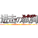 进击の弑狗 (attack on titan)