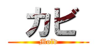  カビ  (Mold)