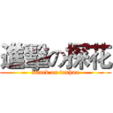 進擊の探花 (attack on tanhua)