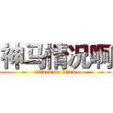神马情况啊 (attack on titan)