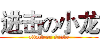 进击の小龙 (attack on snake)