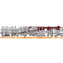 植物毒哪里有卖 (植物毒哪里有卖【电-186x2687x6963-Q278180069元-吉-药-业】我们做的是长期生意,靠的是老客户长期支持 http://sngk.net/051TGb
)