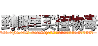 到哪里买植物毒 (到哪里买植物毒【电.话186x0156x9662-Q194843976林氏药业】我们做的是长期生意,靠的是老客户长期支持
参考消息网2月20日报道 韩媒称，“剩女多、离婚率高的城市，房价一定会上涨。”这是中国经济学家金岩石2016年12月参加在上海举行的房地产相关论坛时说的话。
)