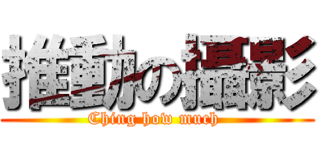 推動の攝影 (Ching how much )