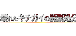 壊れたキチガイの廃棄処分 ()