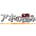 アホの極み (aho no kiwami)