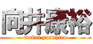 向井康裕 (mukai yasuhiro)