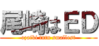 尾崎はＥＤ (ozaiki tntn smallest)