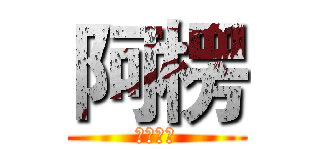 阿楞 (你覺得呢)