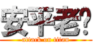 安平老爹 (attack on titan)
