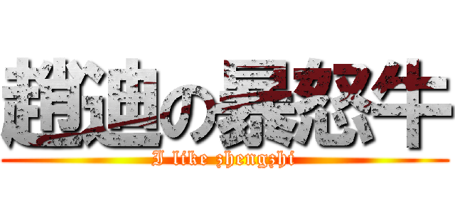 趙迪の暴怒牛 (I like zhengzhi)