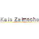 Ｋａｉｓ Ｚａｉｍｅｃｈｅ (attack on titan)