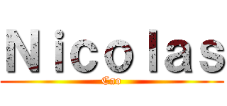 Ｎｉｃｏｌａｓ (Cao)