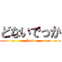 どないでっか (How)