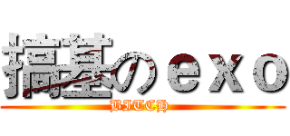 搞基のｅｘｏ (BITCH )
